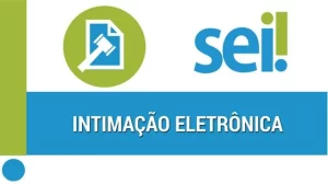 Leia mais sobre o artigo Intimação Eletrônica no SEI: O Que É e Como Garantir que Você Não Perca Prazos no Sistema CFA/CRAs
